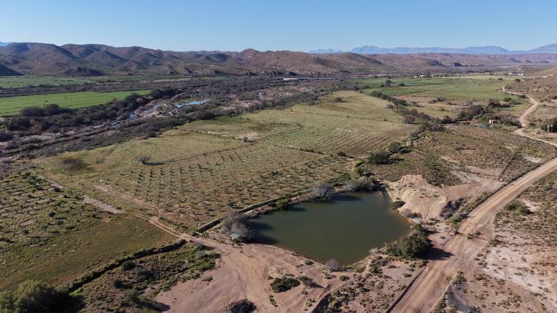 0 Bedroom Property for Sale in Ladismith Western Cape